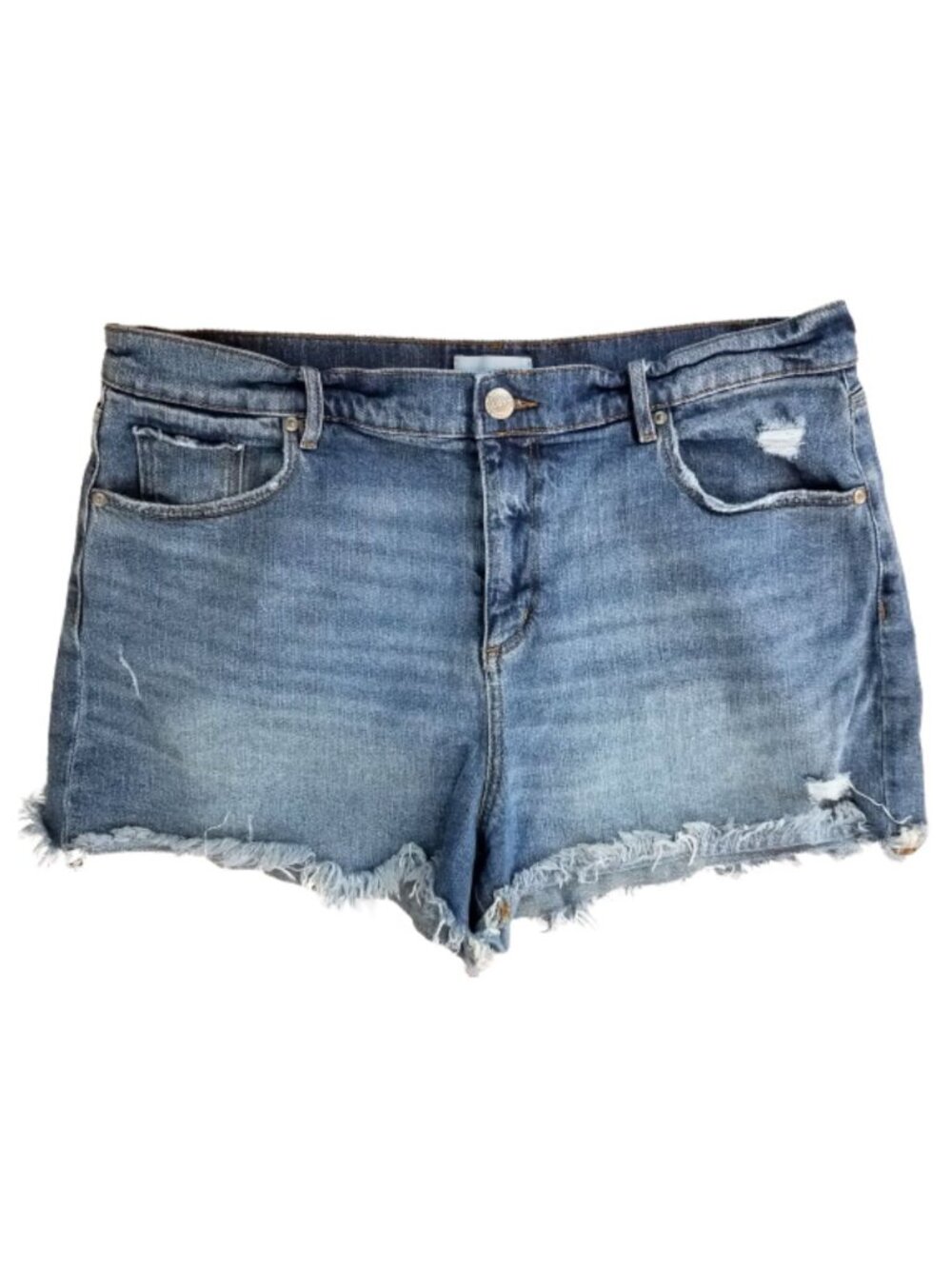 LOFT Made And Loved Distressed Denim Blue Jean Shorts Women's 14